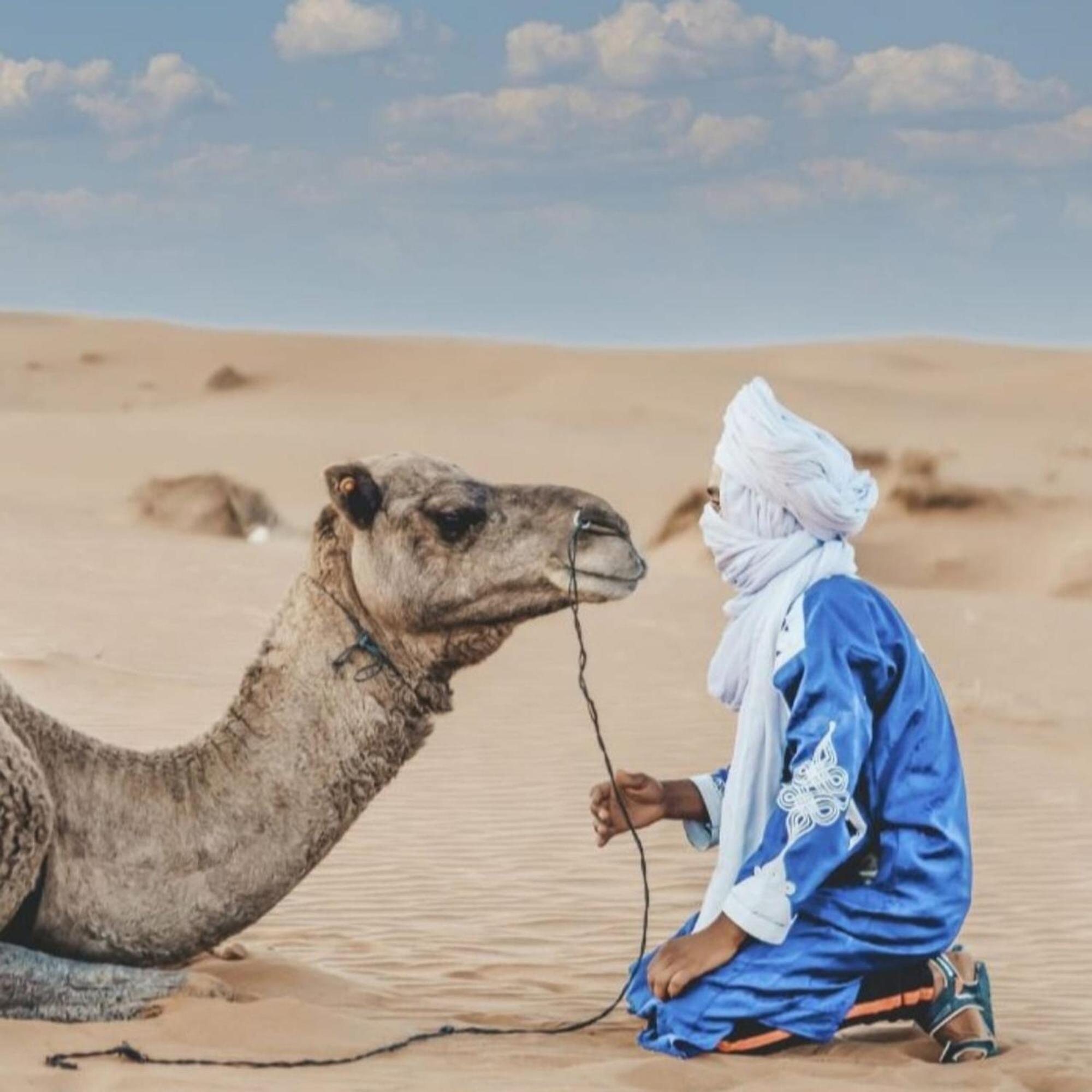 Готель Unique Sahara Camp Мерзуга Екстер'єр фото