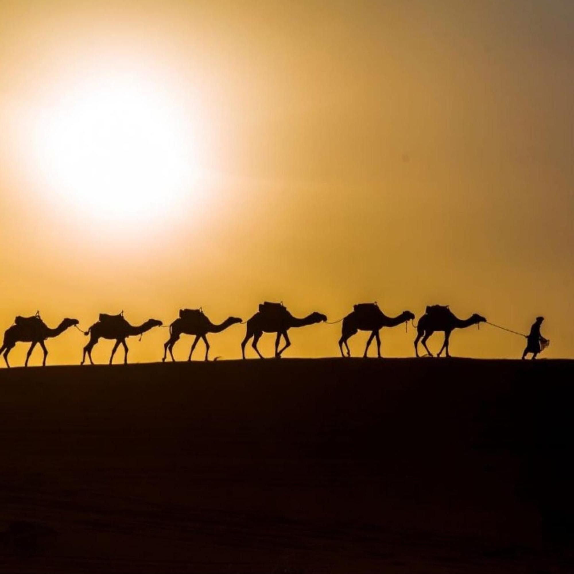 Готель Unique Sahara Camp Мерзуга Екстер'єр фото
