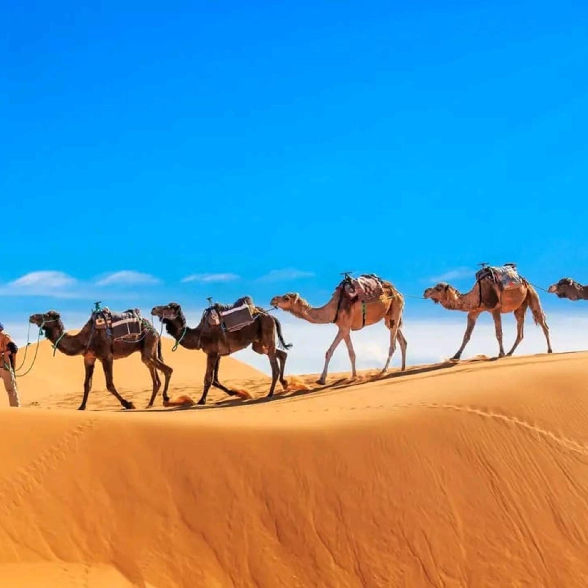 Готель Unique Sahara Camp Мерзуга Екстер'єр фото